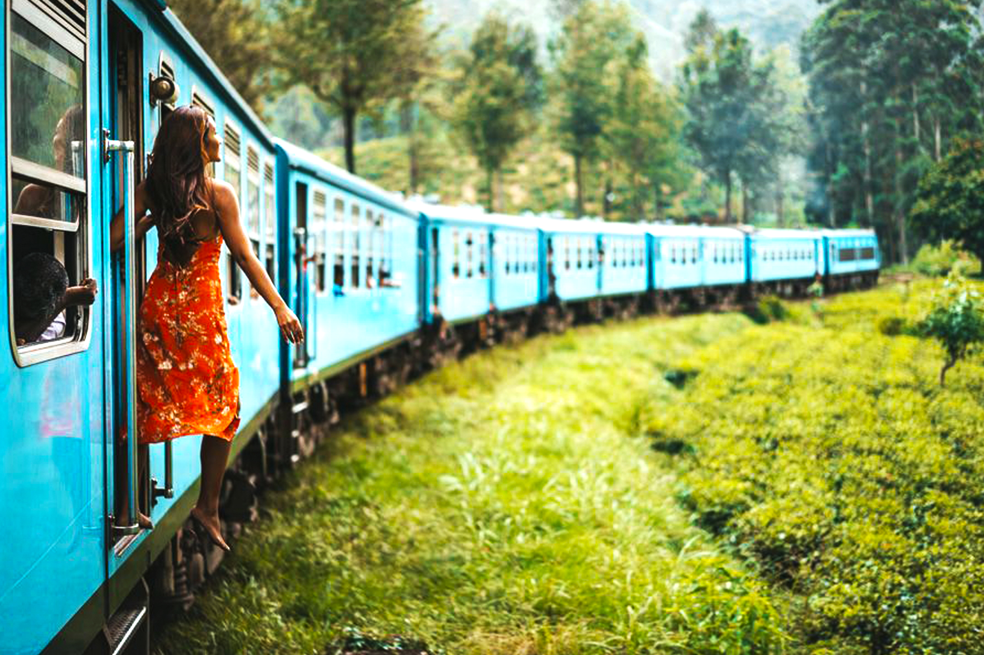 Люди в жизни как поезда. Шри Ланка поезд через джунгли. Поезд из Эллы Шри Ланка.