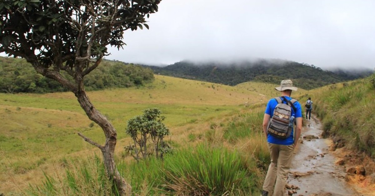 Magical Horton Plains Trekking | Trekking in Horton Plains