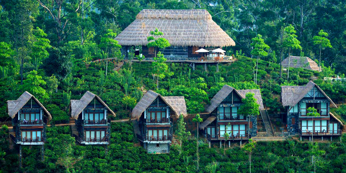 Top Sri Lanka Hotels For Luxury Sri Lanka Honeymoons