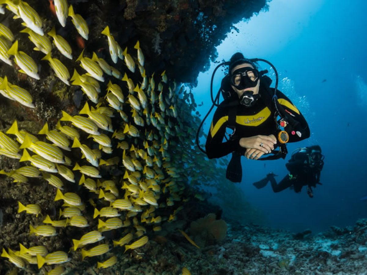 Scuba Diving in