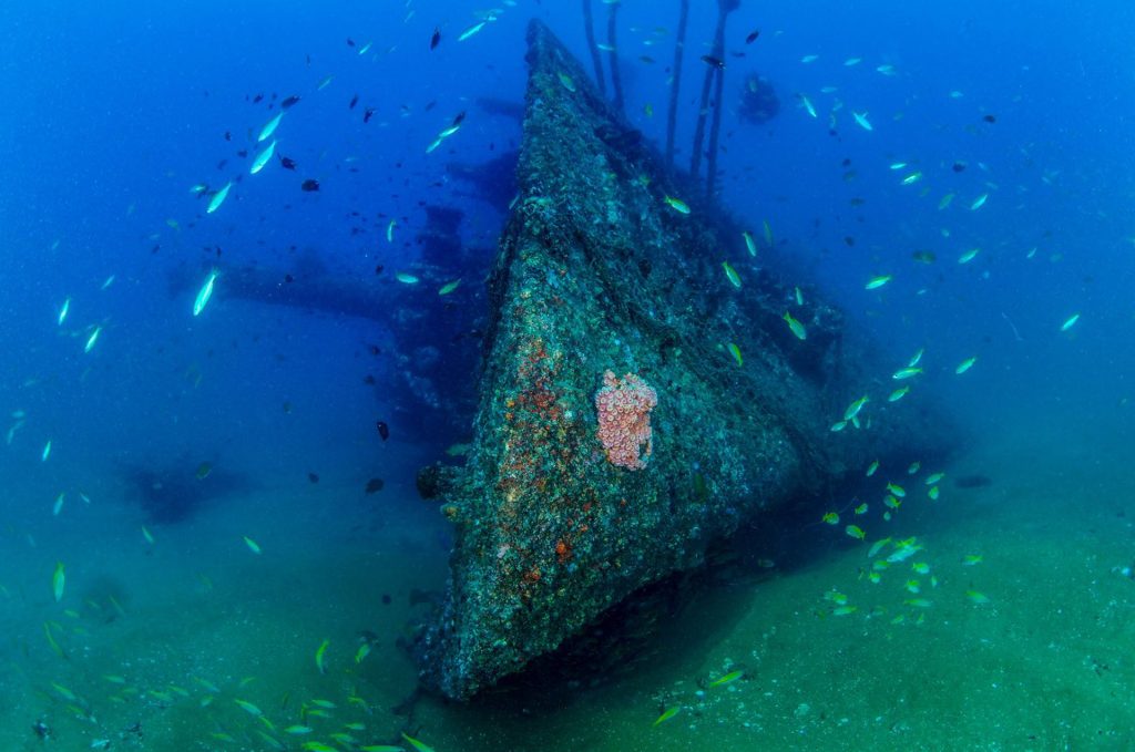 scuba diving in sri lanka