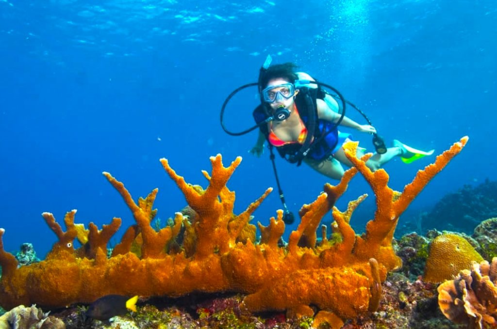 scuba diving in hikkaduwa