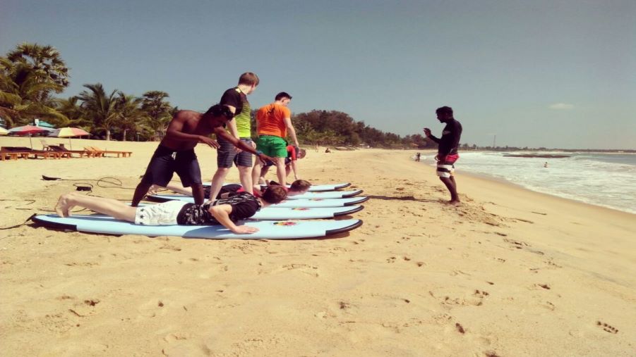 Surf Camps in Arugam Bay Sri Lanka - Green Iguana