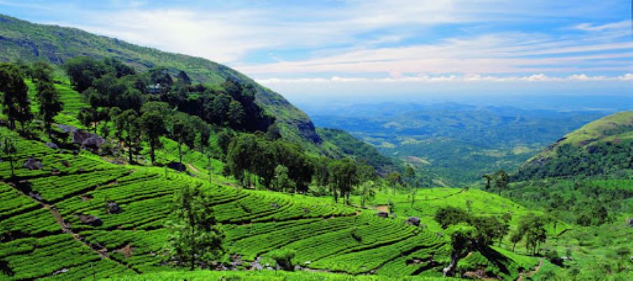 Best Sri Lanka Honeymoon Destination - Sri Lanka Hill Country