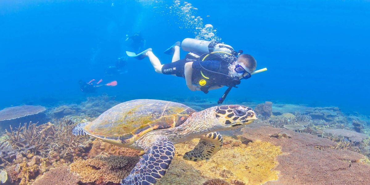 Diving - Adventure Holidays in Sri Lanka