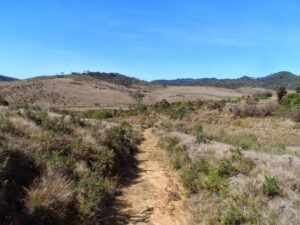 Kirigalpoththa Nature Trail