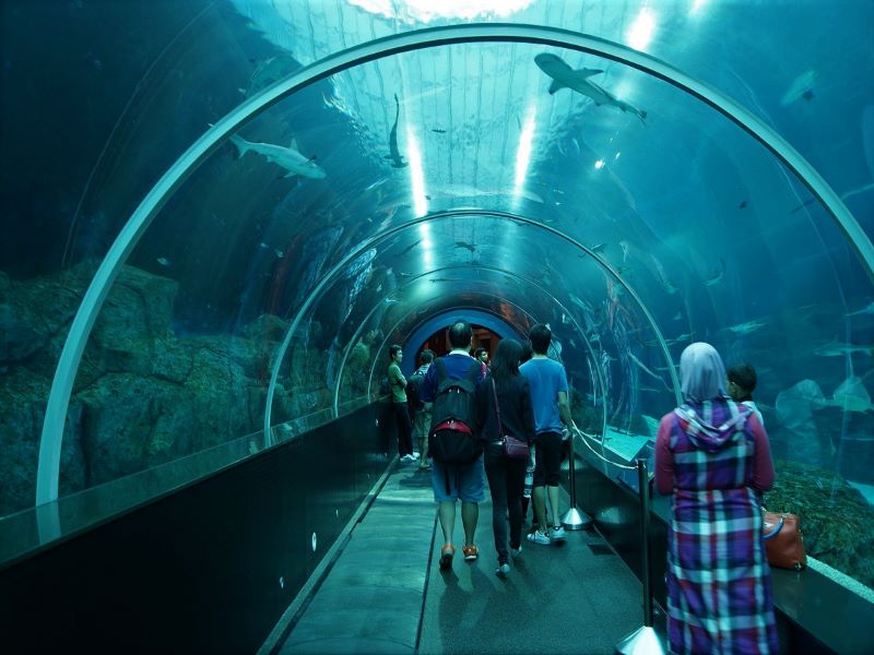 SEA aquarium - Singapore Tours