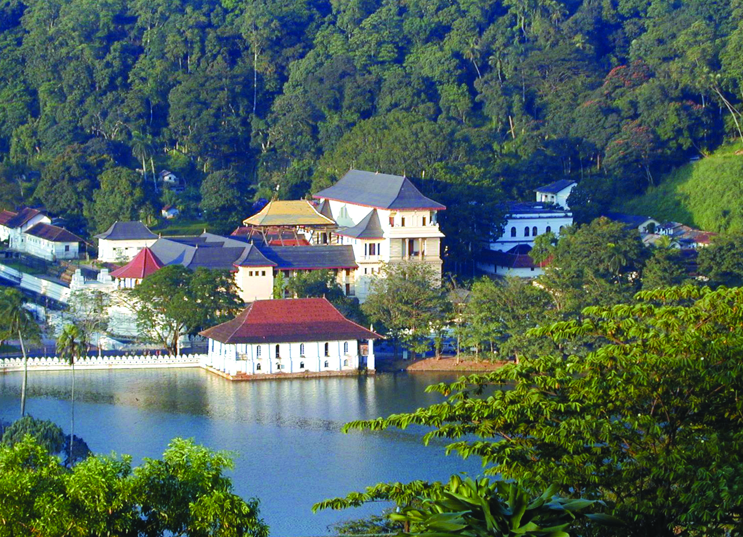 Explore the Kandy city - Family vacation in Sri Lanka