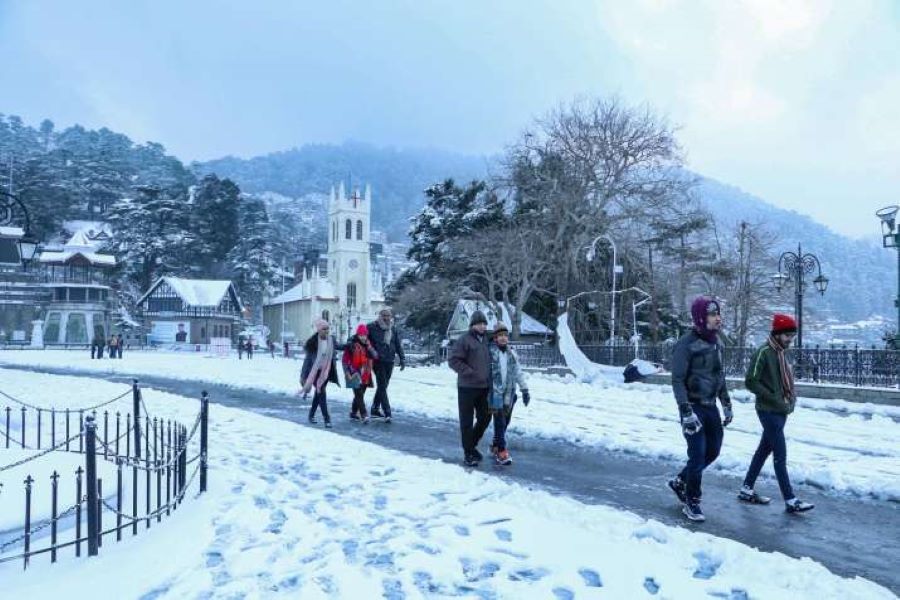 Shimla Snowfall- Shimla Manali Tour Packages
