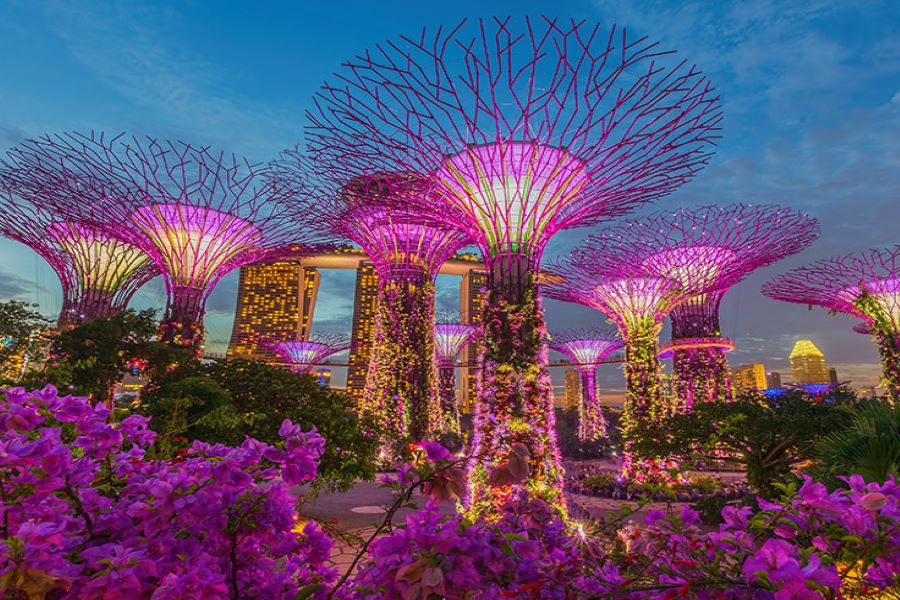 Gardens by the Bay - Singapore attractions
