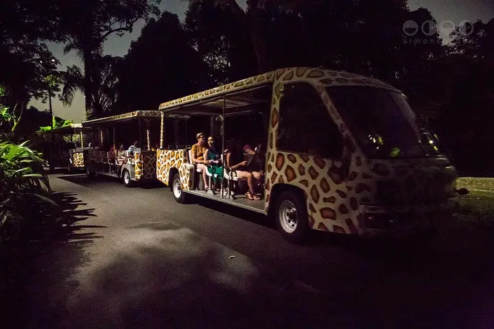 Night Safari In Singapore Wild Life Lovers Paradise In Singapore 