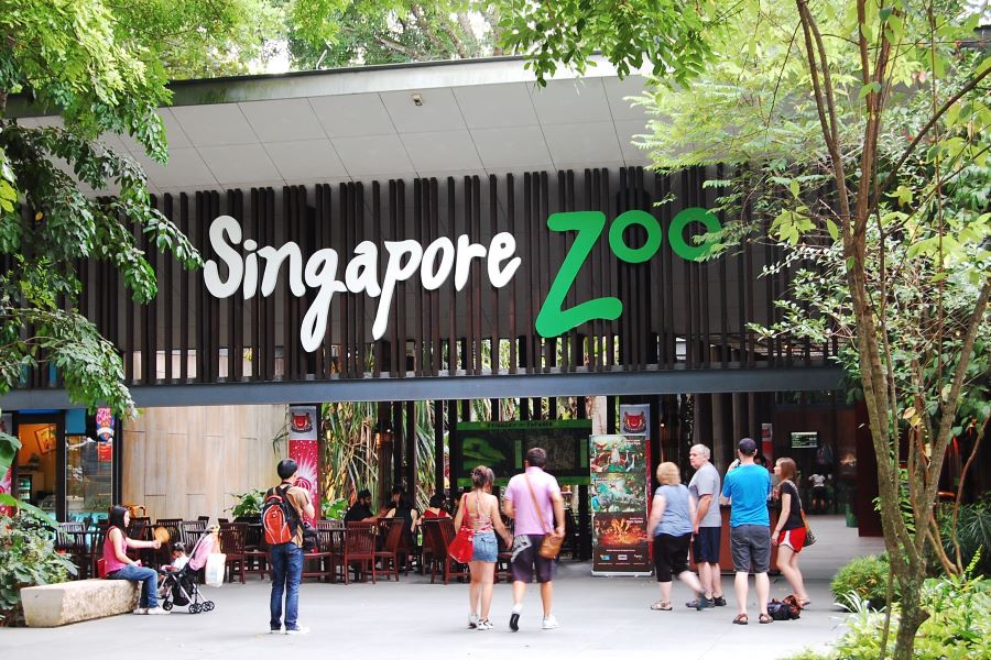 Singapore Zoo - Best Place to Visit in Singapore