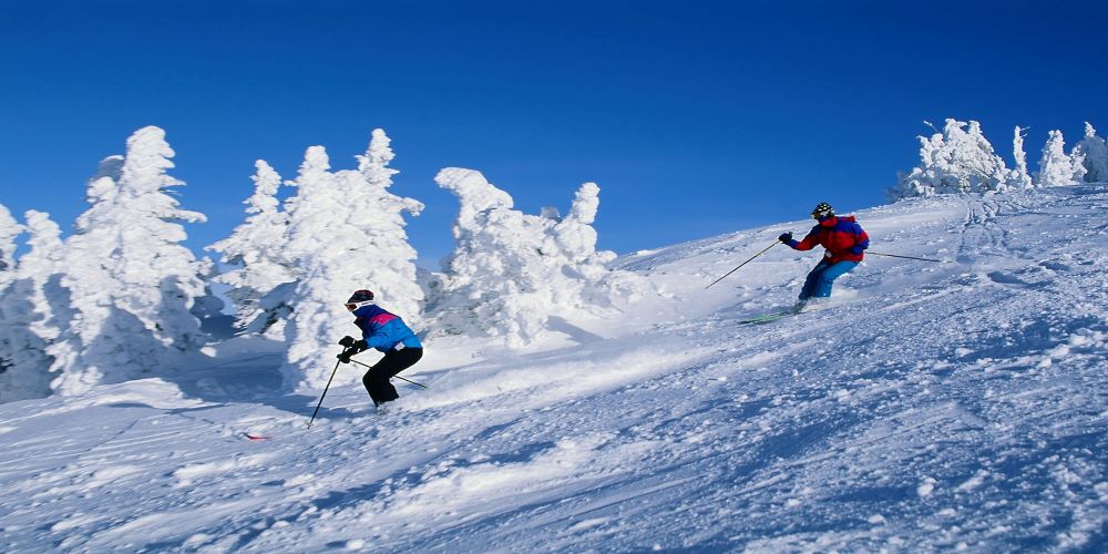 Skiing - Shimla and Manali Travel Guide