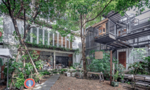 The Yard Bangkok Hostel - Where to Stay in Bangkok