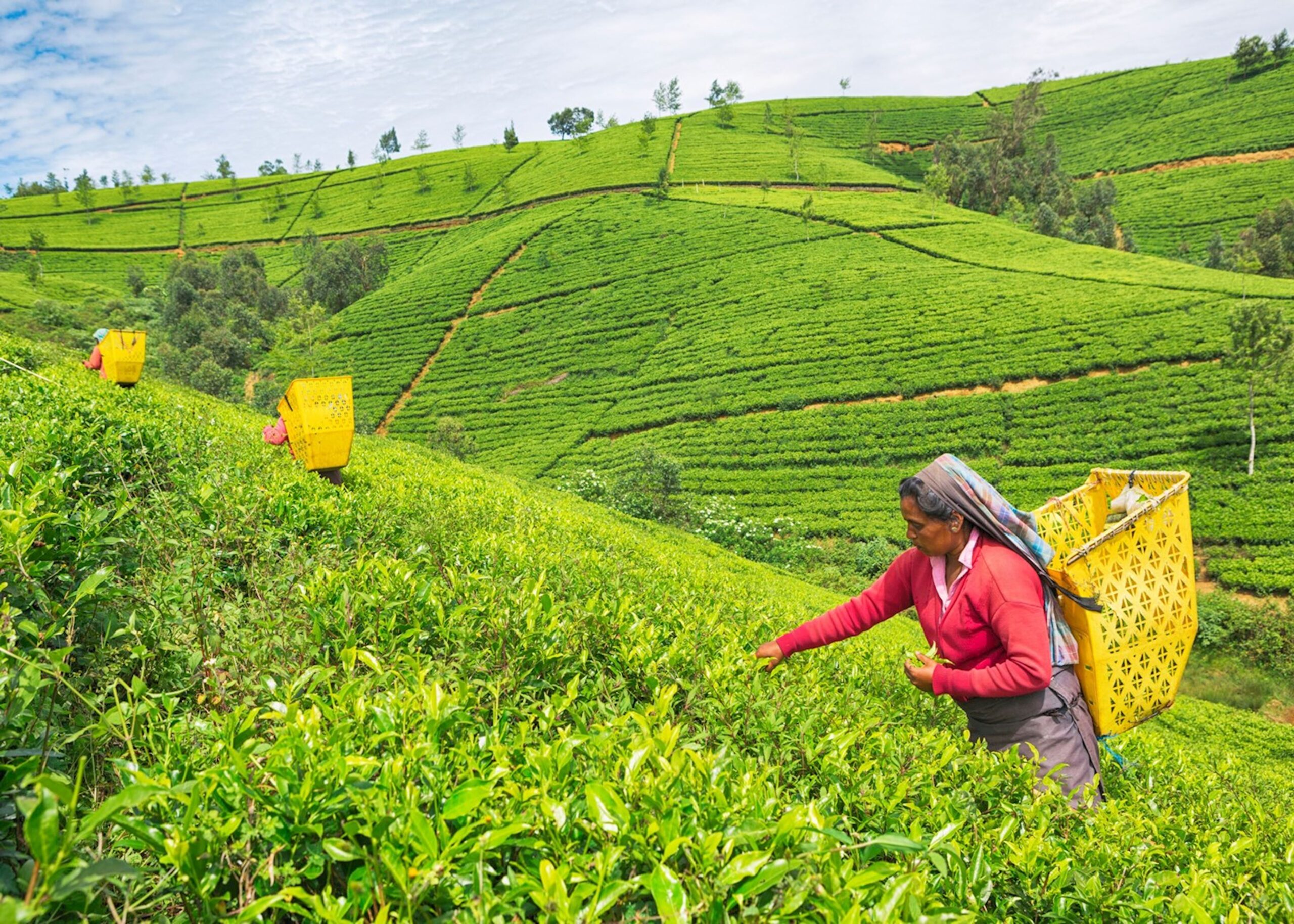 Nuwara Eliya, the most romantic destinations in Sri Lanka