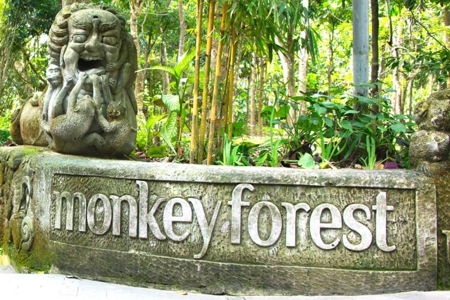 Monkey Forest Cover, 5 days Bali Tour