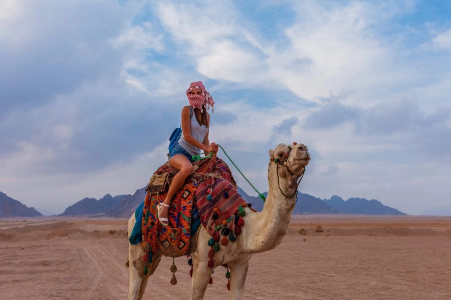 Camel ride, 8 days Egypt tour