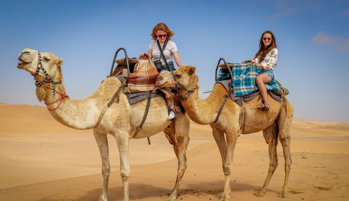 Camel Rides in Dubai