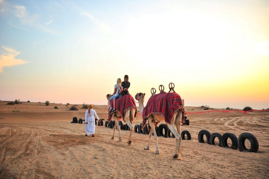 Camel Rides in Dubai