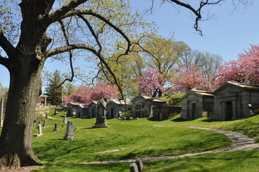 Japanese Cemetery