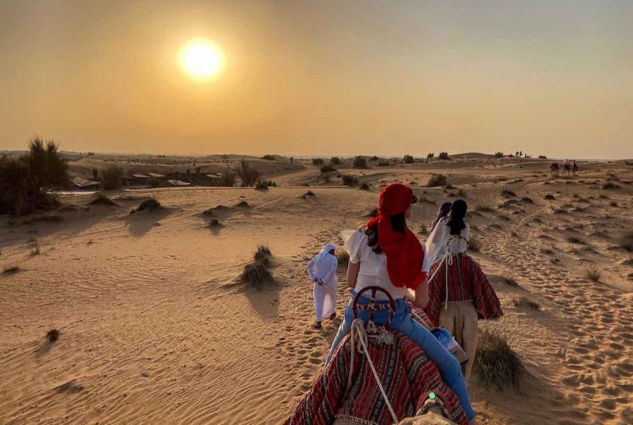 Camel Rides in Dubai