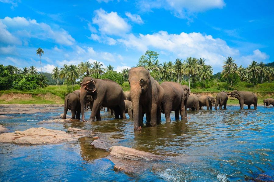 B2B Travel Agent Sri Lanka